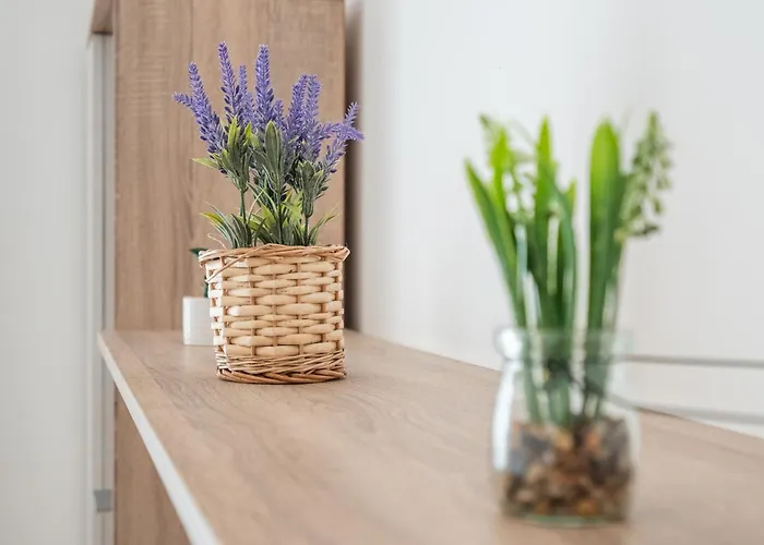 2 Bdr Next To The National Stadium Lägenhet *